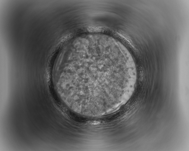 X0000095530687200801111413