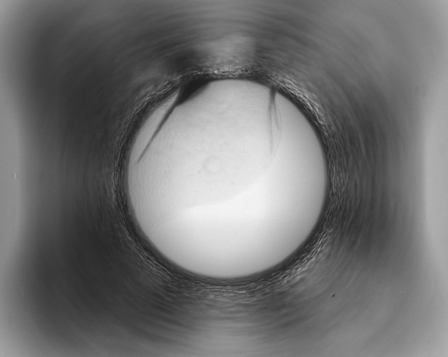 X0000095530689200801111413