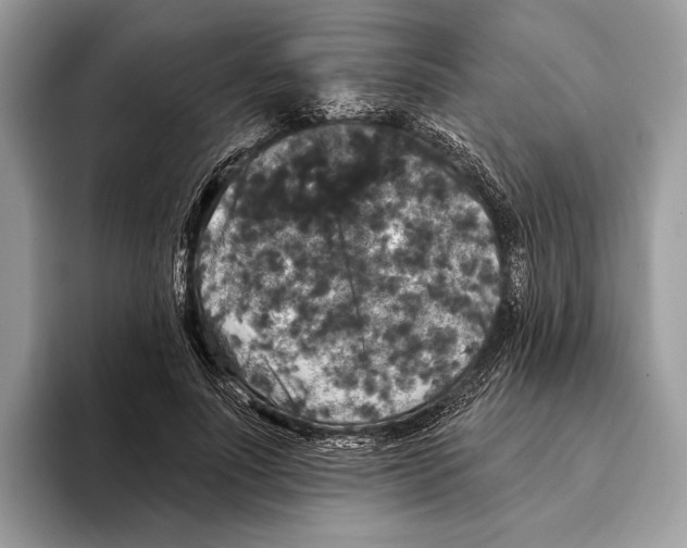 X0000095530691200801111413