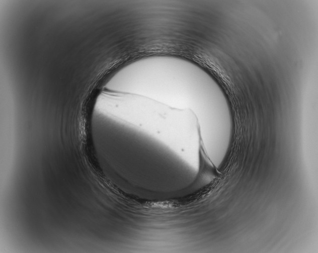 X0000095530692200801111413