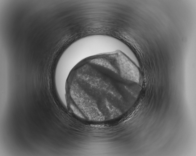 X0000095530693200801111413