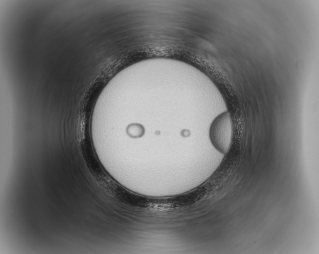 X0000095530694200801111413