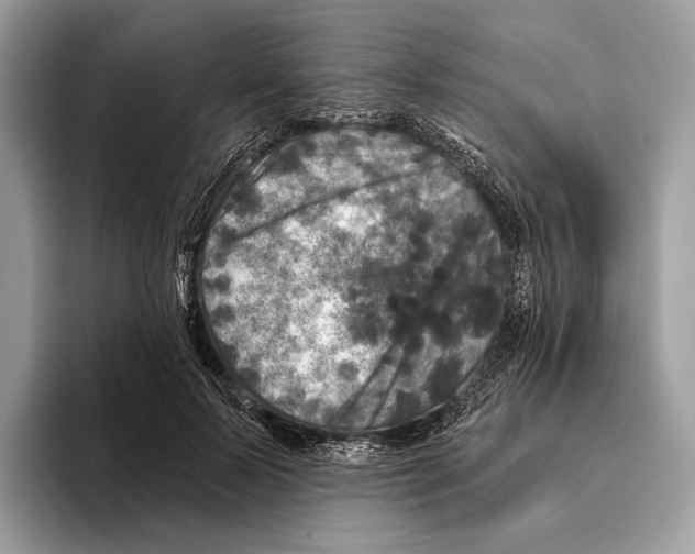 X0000095530695200801111413