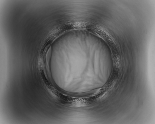 X0000095530696200801111413