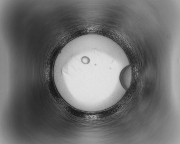 X0000095530698200801111413