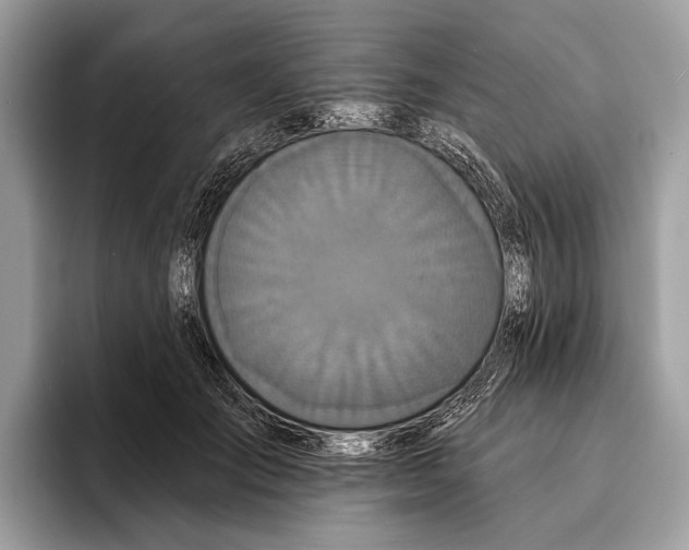 X0000095530701200801111413