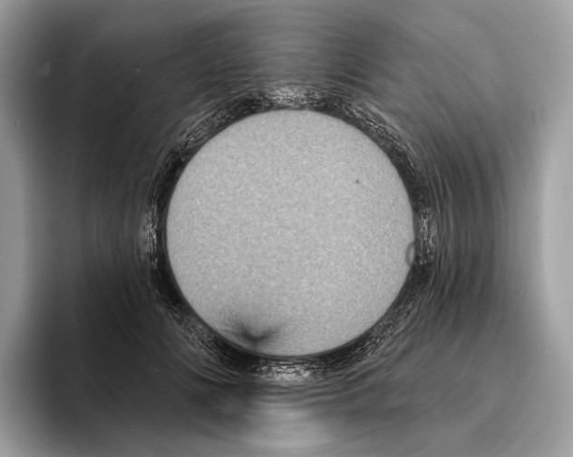 X0000095530702200801111413