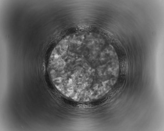 X0000095530703200801111413