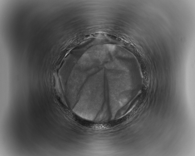 X0000095530704200801111413