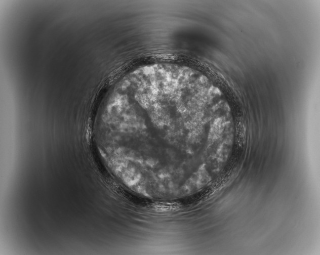 X0000095530707200801111413