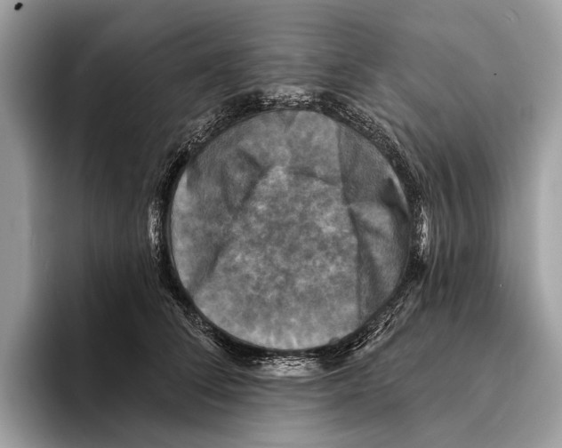 X0000095530708200801111413