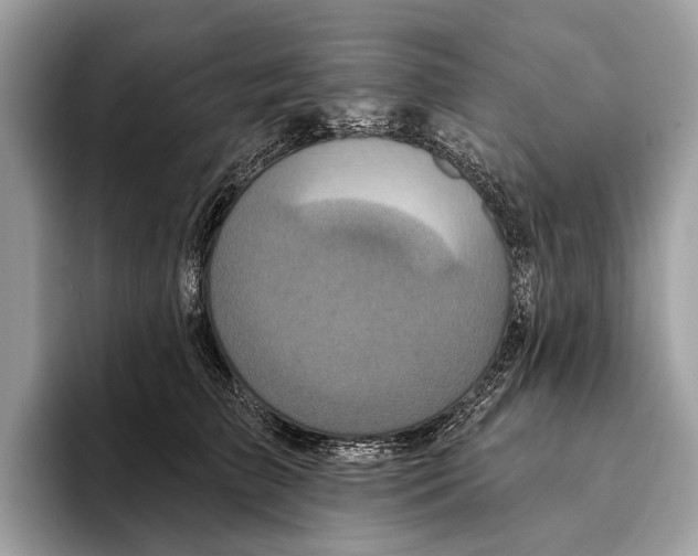 X0000095530709200801111413