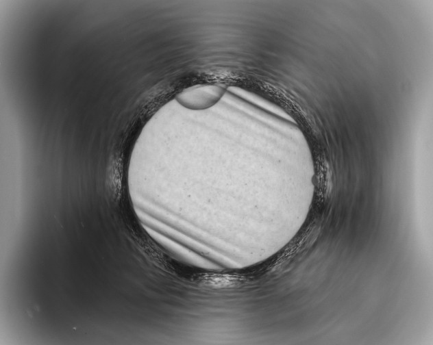 X0000095530710200801111413