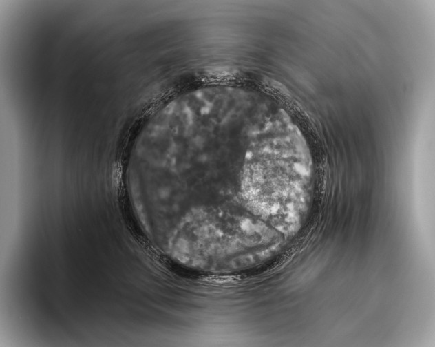 X0000095530711200801111413