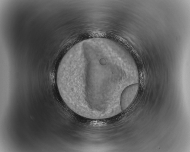 X0000095530714200801111413