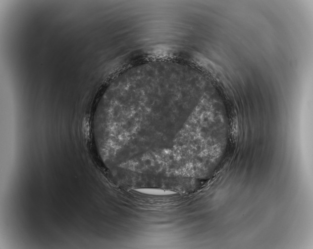 X0000095530715200801111413