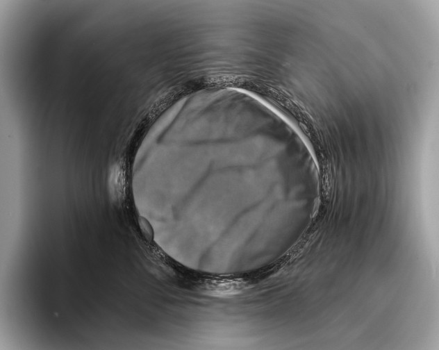 X0000095530716200801111413