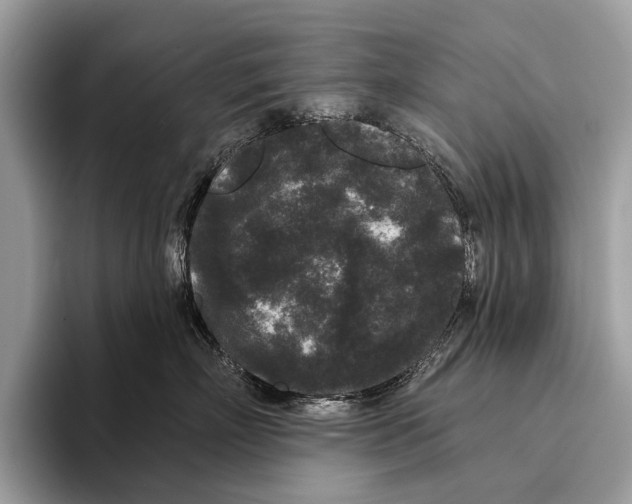 X0000095530718200801111413