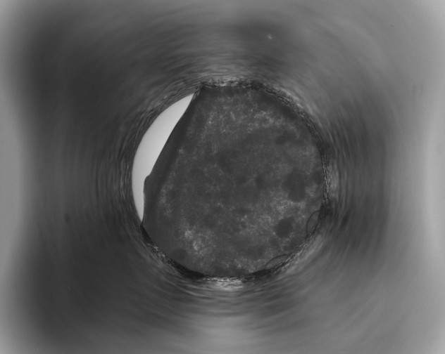 X0000095530719200801111413