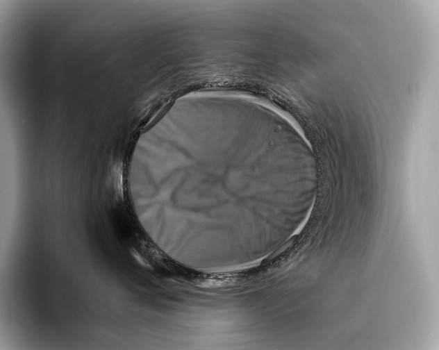 X0000095530720200801111413