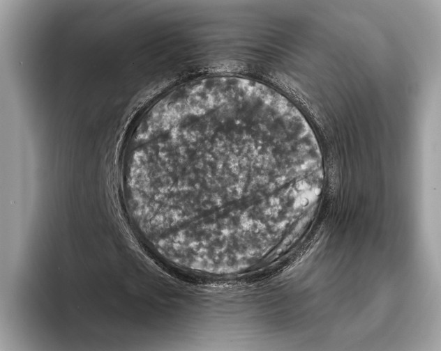 X0000095530721200801111412