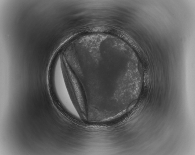 X0000095530722200801111412