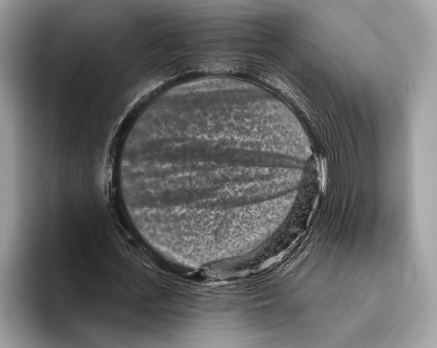 X0000095530723200801111412