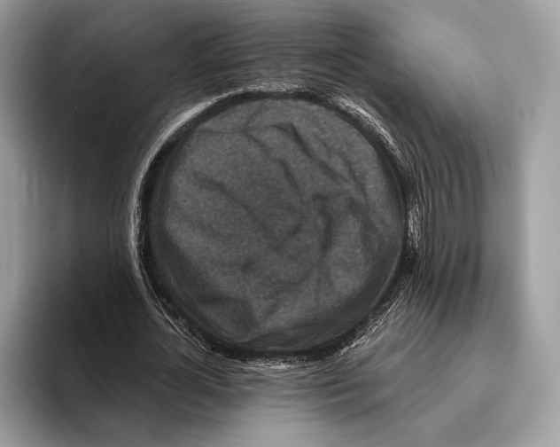 X0000095530724200801111412