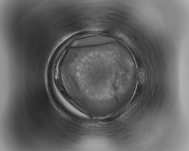 X0000095530726200801111412