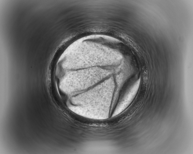 X0000095530727200801111412