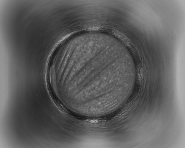 X0000095530728200801111412