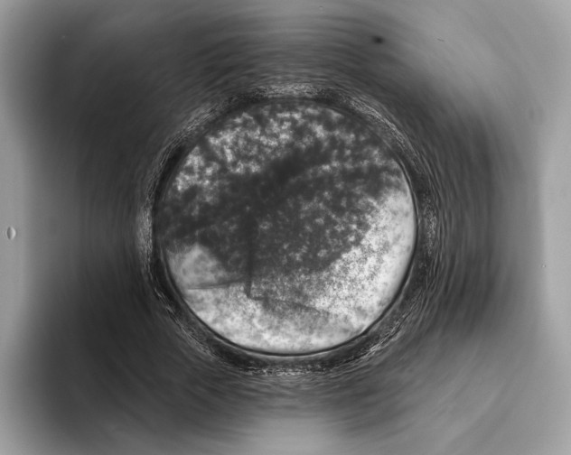 X0000095530729200801111412