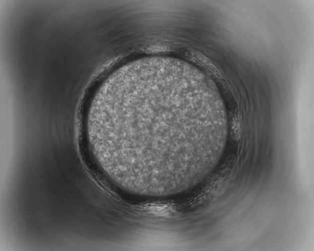 X0000095530732200801111412