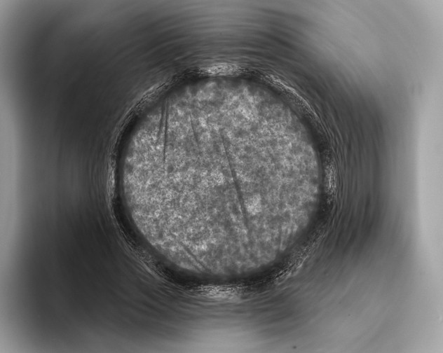 X0000095530733200801111412