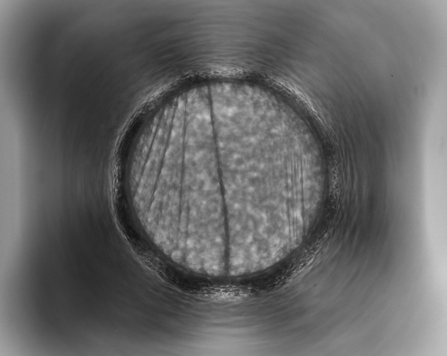 X0000095530736200801111413