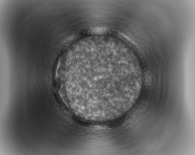 X0000095530737200801111413