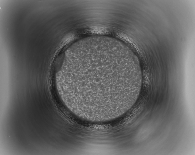 X0000095530738200801111413