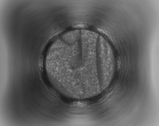 X0000095530739200801111413