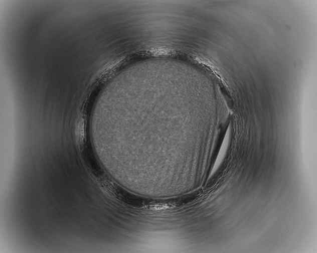 X0000095530740200801111413