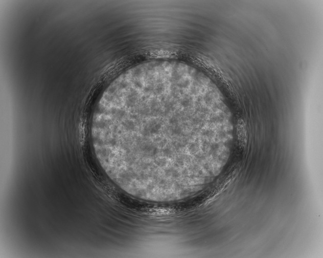 X0000095530741200801111413