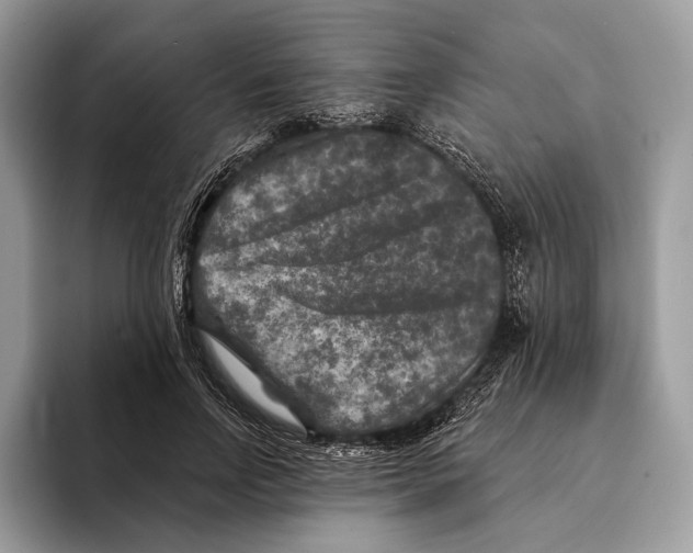 X0000095530742200801111413