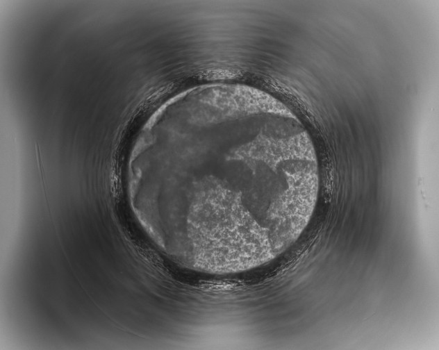 X0000095530743200801111413