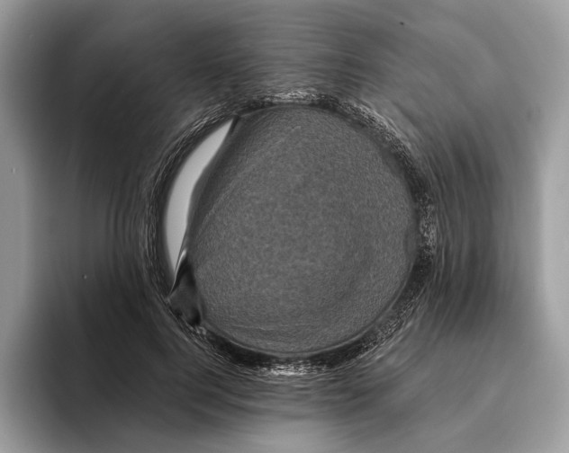 X0000095530744200801111413