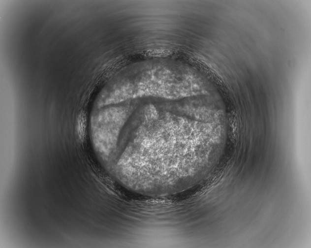 X0000095530745200801111413