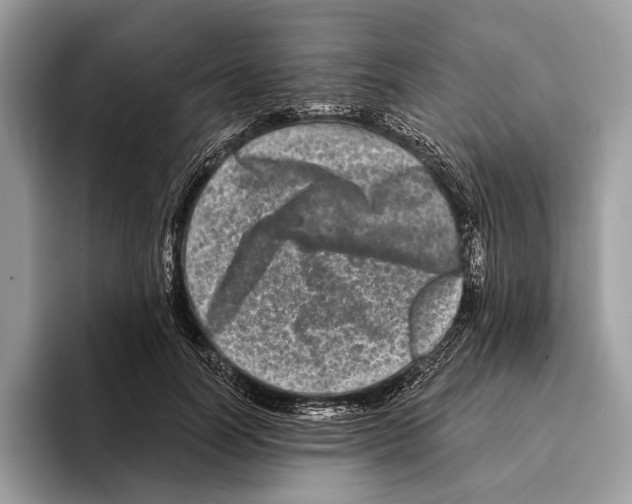 X0000095530746200801111413