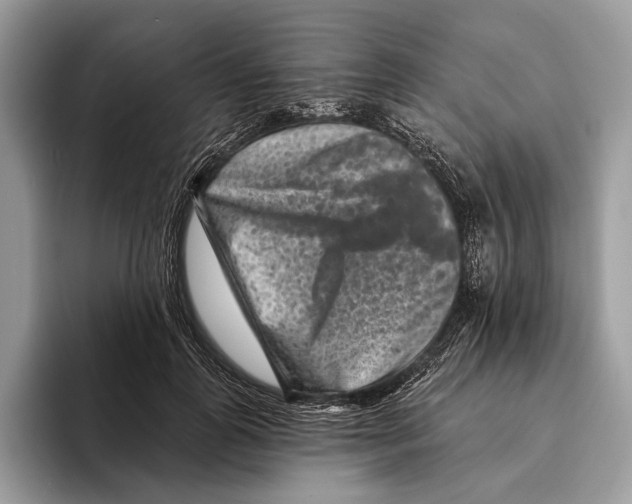 X0000095530747200801111413