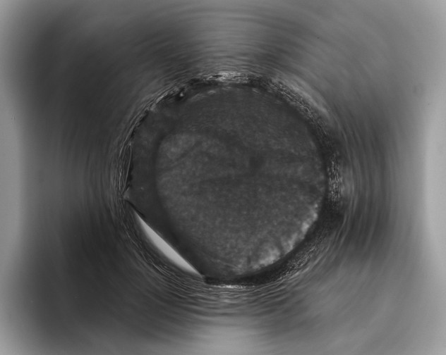 X0000095530748200801111413