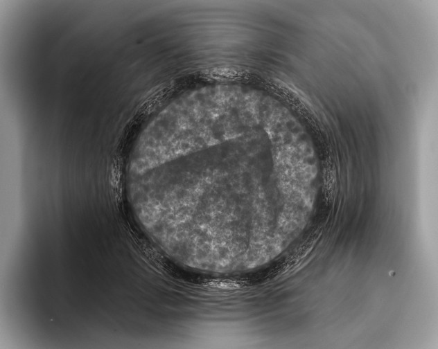 X0000095530749200801111413