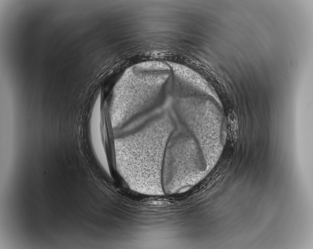 X0000095530750200801111413