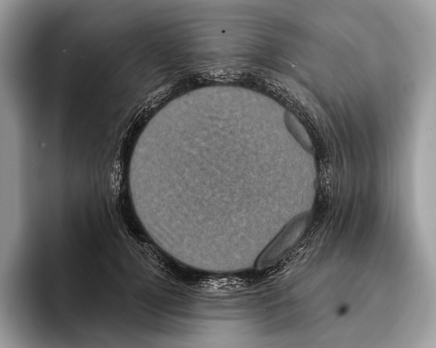 X0000095530752200801111413